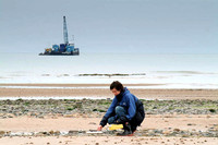 Beach monitoring.