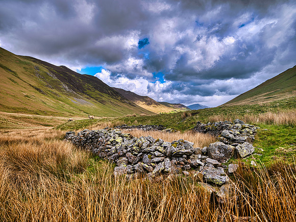 Newlands Valley Sheep Fold