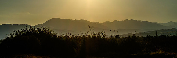 DSCF7166
