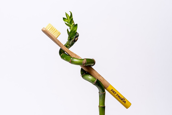 Fat panda bamboo toothbrush.