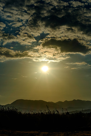DSCF7167