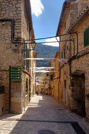 DSCF2449