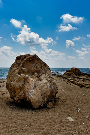 DSCF7282
