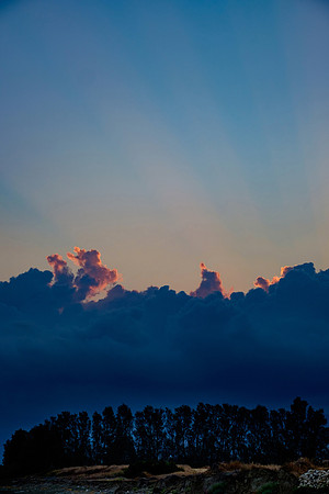 DSCF7224