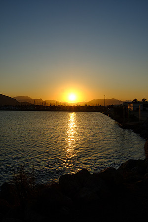 DSCF2445